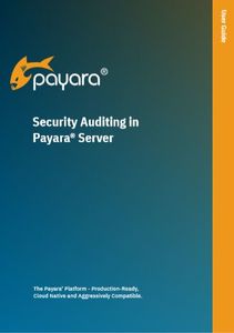 'Security Auditing in Payara Server' User guide front cover.