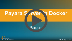 Video link to Payara Server in Docker: Basics.