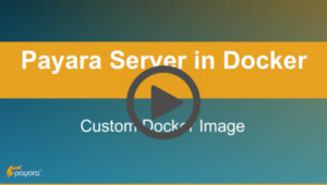 Payara server in docker custom docker image