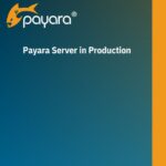 Payara Server in Production Ops Guide