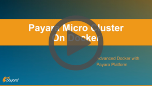 Video link to Payara Micro Cluster On Docker.