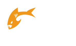 Payara Enterprise