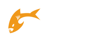 Payara Micro