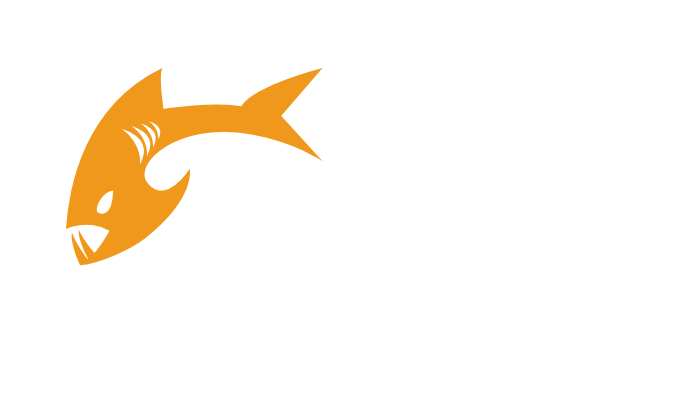 Payara Micro