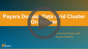 Payara Domain Data Grid Cluster on Docker