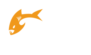 Payara Server