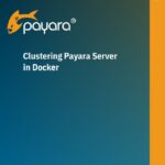 Clustering Payara Server in Docker user guide.