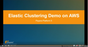 Elastic Clustering Demo on AWS