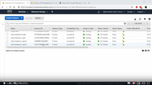 Elastic Clustering with Payara Micro on Amazon AWS - Demo Part 3