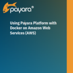 Using Payara Platform with Docker on Amazon AWS guide