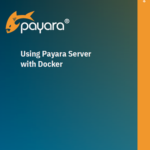 Using Payara Server with Docker