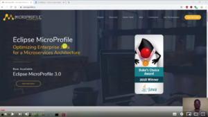 MicroProfile and Payara Platform Video Playlist