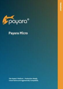 Payara Micro Datasheet