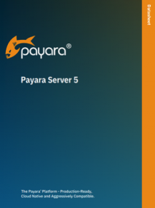 payara server 5 datasheet