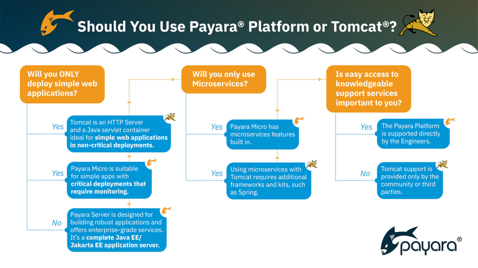 Payara Platform or Tomcat