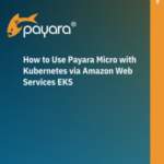 How to use Payara Micro with Kubernetes via Amazon Web Services EKS user guide cover