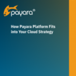 How the Payara Platform Fits into Your Cloud Strategy Datasheet screenshot