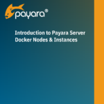 Cover of Introduction to Payara Server Docker Nodes & Instances