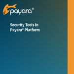 Security Tools in the Payara Platform datasheet