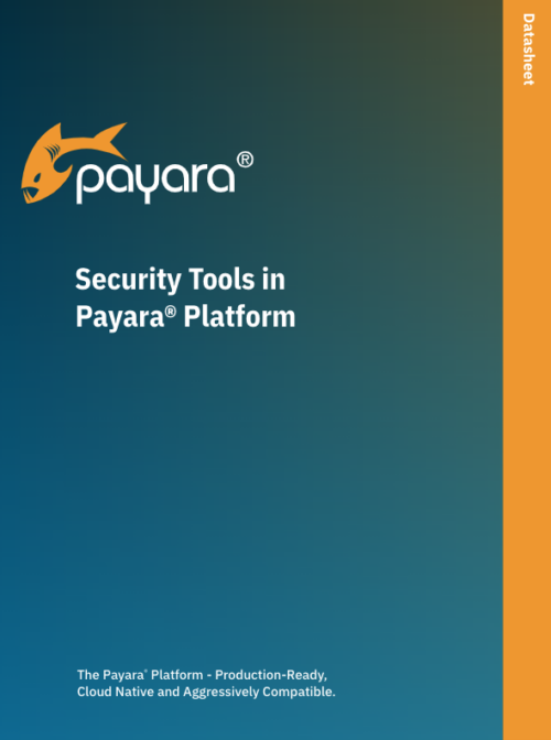 Security Tools in the Payara Platform datasheet