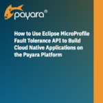 How to use Fault Tolerance API to Build Cloud Native Applications on Payara Platform