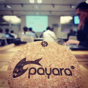 Payara japan talk