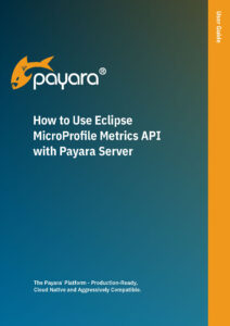 How-to-Use-Eclipse-MicroProfile-Metrics-API-with-Payara-Server Cover