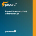 Payara and PaaS with Platform.sh Cover