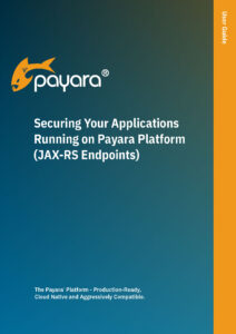 Securing Your Applications Running on Payara Platform (JAX-RS Endpoints)