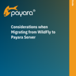 Considerations When Migrating from Wildfly to Payara Server