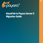 glassfish to payara server 5 guide screenshot