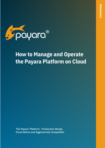 Manage and Operate Payara Platform on Cloud