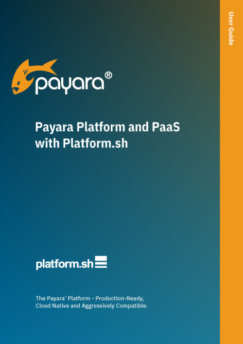 Payara Platform and PaaS with Platform.sh