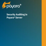 Security Auditing in Payara Server