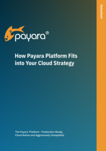 How Payara Platform Fits into your Cloud Strategy