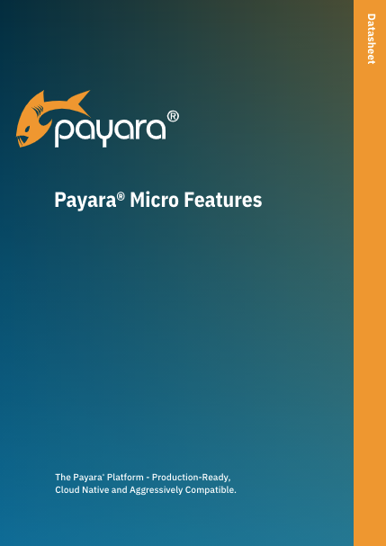Payara Micro Features