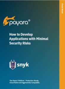 How to Develop Applications with Minimal Security Risks image