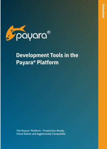 Development Tools in the Payara Platform