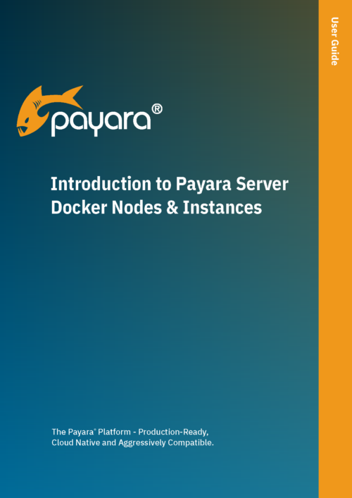 Introduction to Payara Server Docker Nodes