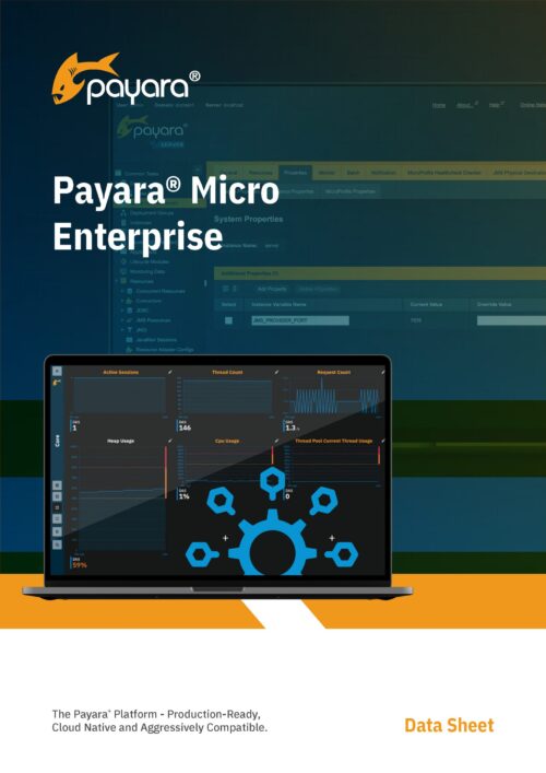 Payara Micro Enterprise Data Sheet
