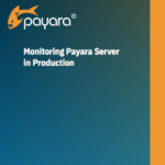 Monitoring Payara Server in production