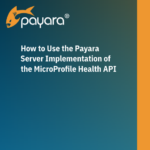 How to Use the Payara Server Implementation of the MicroProfile Health API