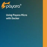 Using Payara Micro with Docker