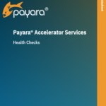 Payara Accelerator Health Checks