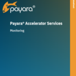 Payara Accelerator Monitoring Datasheet