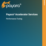 Payara Accelerator Performance Tuning Datasheet