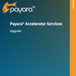 Payara Accelerator Upgrade Datasheet