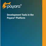 developer tools in the Payara Platform