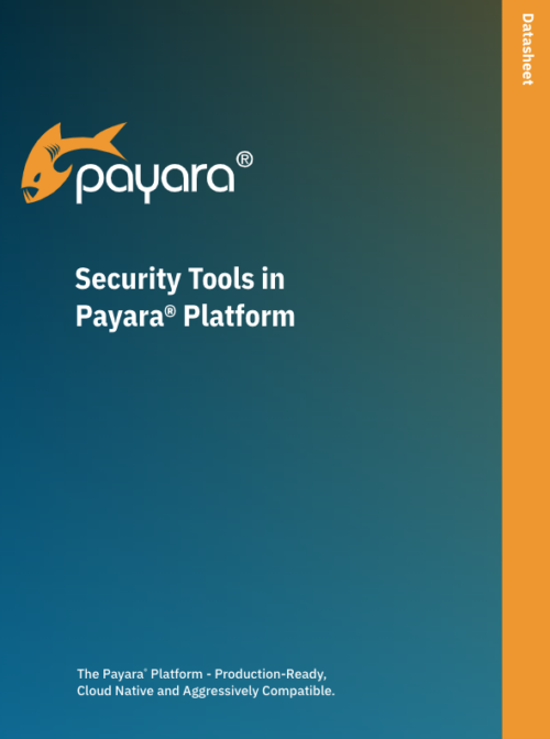 Security Tools in the Payara Platform
