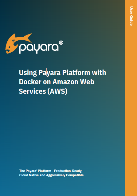 Using Payara Platform with Docker on Amazon AWS